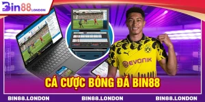 cá cược bóng đá BIN88