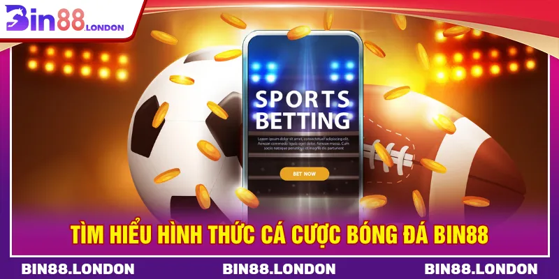Cá cược bóng đá BIN88 được săn đón trên thị trường