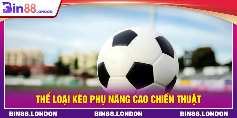 Cá cược bóng đá BIN88 loại phụ tạo nhiều lựa chọn