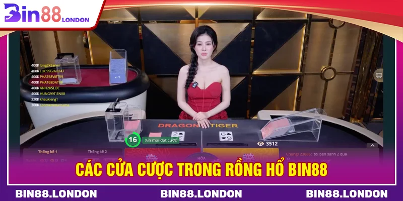 Các cửa cược trong rồng hổ BIN88