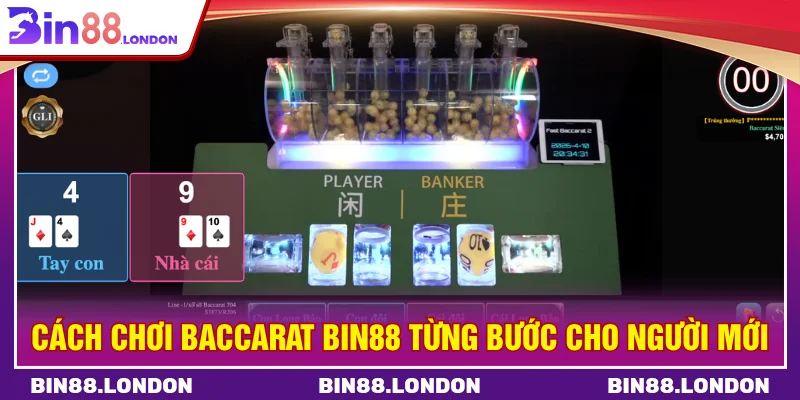 Cách chơi Baccarat BIN88 từng bước cho người mới