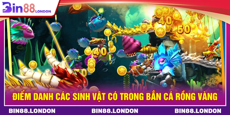 Điểm danh các sinh vật có trong bắn cá rồng vàng