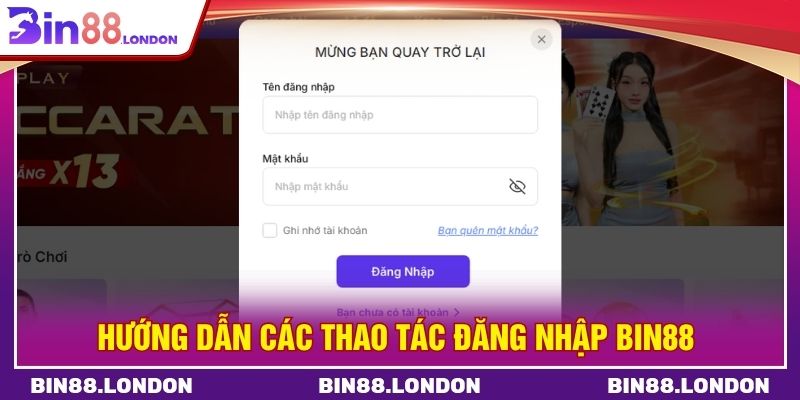 Hướng dẫn các thao tác đăng nhập BIN88 