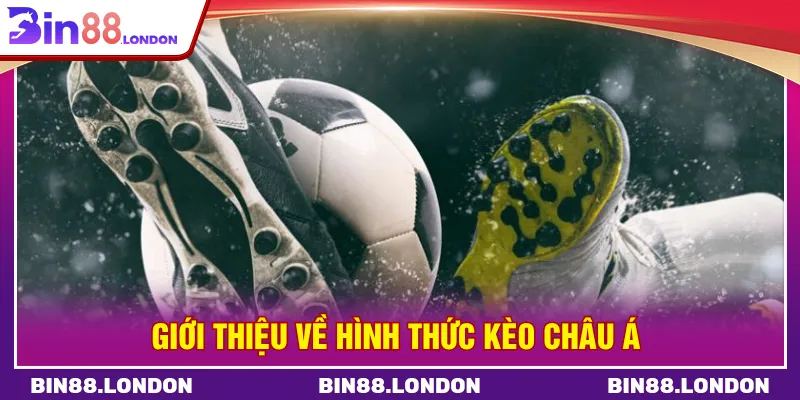 Kèo châu Á Bin88 được nhiều người áp dụng cược bóng đá