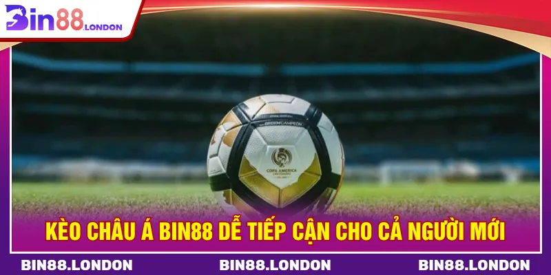Kèo châu Âu BIN88 đưa ra tỷ lệ rõ ràng và hấp dẫn
