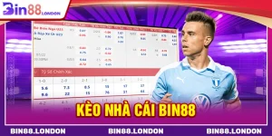 Kèo nhà cái Bin88