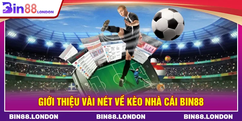 Kèo nhà cái Bin88 cung cấp đầy đủ dữ liệu về trận đấu