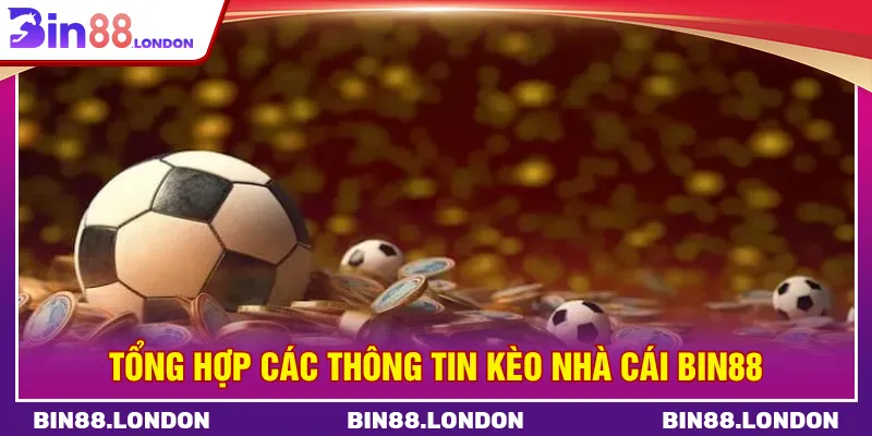 Kèo nhà cái Bin88 đem đến nhiều loại hình cược phổ biến