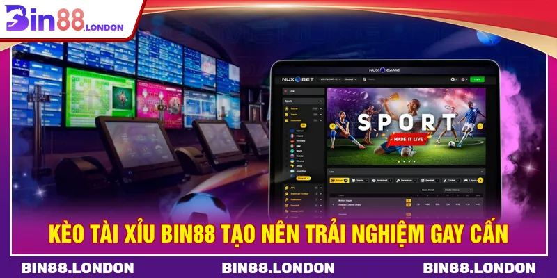 Kèo tài xỉu BIN88 dự đoán bàn thắng dễ tiếp cận