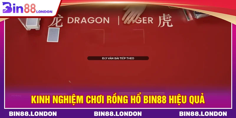 Kinh nghiệm chơi rồng hổ BIN88 hiệu quả