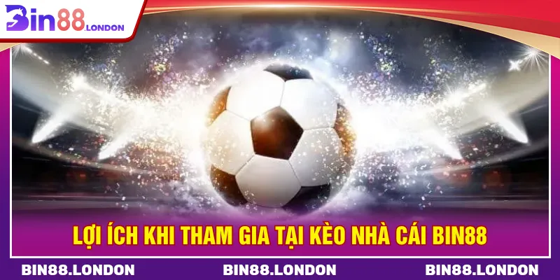 Người chơi dễ dàng nắm bắt được xu hướng cược tại Bin88