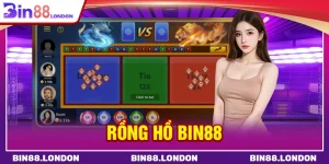 Rồng hổ BIN88