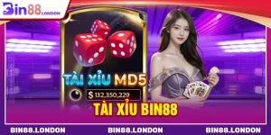 Tài xỉu BIN88