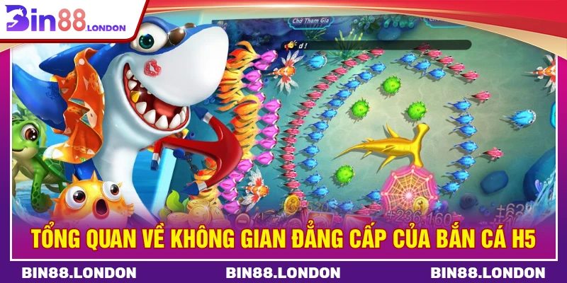 Tổng quan về không gian đẳng cấp của bắn cá H5