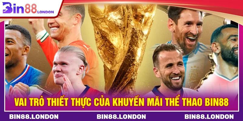 Vai trò thiết thực của khuyến mãi thể thao BIN88
