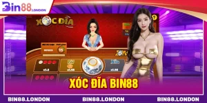 Xóc dĩa BIN88